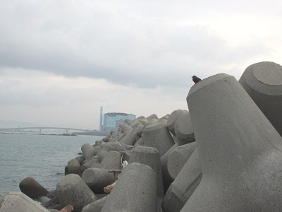 釣れる カサゴ釣り 穴釣り Crazy Fishing